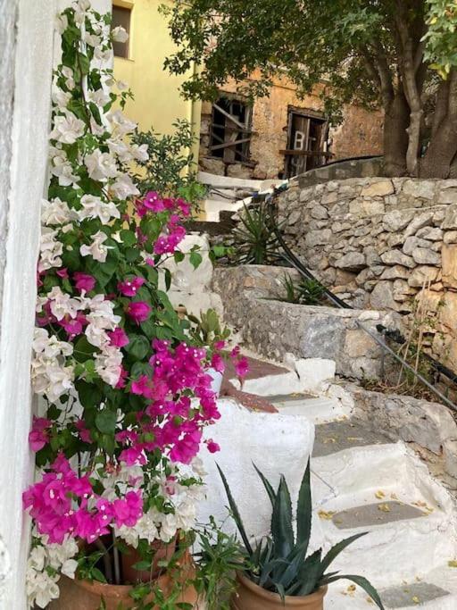 Maison Avec Terrasses Et Vues Simi Dış mekan fotoğraf